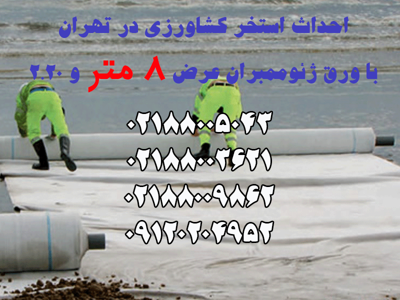 استخر-کشاورزی-تهران